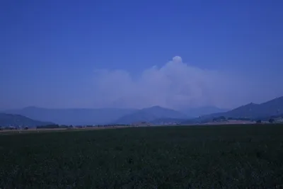 DSC_1857 (Large).JPG